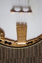 Load image into Gallery viewer, Stelling Staghorn Gold Plated Banjo No. 4510 (c. 1996)