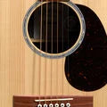 Load image into Gallery viewer, Martin GPC-X2E-C0C0 Guitar "New"