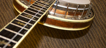 Load image into Gallery viewer, Stelling Staghorn Banjo 1980 (originally built for John McEuen)