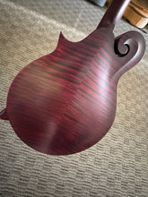 Load image into Gallery viewer, Collings MF-Deluxe Mandolin