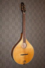 Load image into Gallery viewer, Gold Tone OM-800+ (2011)