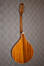 Load image into Gallery viewer, Gold Tone OM-800+ (2011)