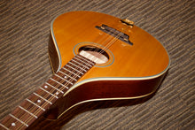 Load image into Gallery viewer, Gold Tone OM-800+ (2011)