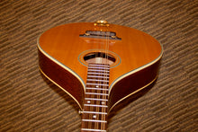 Load image into Gallery viewer, Gold Tone OM-800+ (2011)