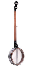 Load image into Gallery viewer, Goldtone OT-800LN "New"