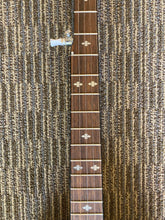 Load image into Gallery viewer, Goldtone MC-150 RP Used