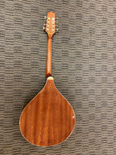 Load image into Gallery viewer, Gold Tone OM-800 Octave Mandolin "New"