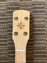 Load image into Gallery viewer, Pisgah Possum 11" banjo "used" 2022