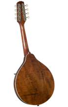 Load image into Gallery viewer, Kentucky KM-256 Artist F-model Mandolin - Transparent Brown - Jakes Main Street Music