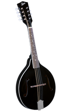 Load image into Gallery viewer, Rover RM-35B Mandolin "Black"