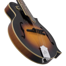 Load image into Gallery viewer, The Loar LM-520vs