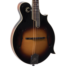 Load image into Gallery viewer, The Loar LM-520vs