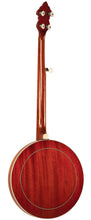Load image into Gallery viewer, Recording King RK-R20 - Jakes Main Street Music