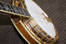 Load image into Gallery viewer, Stelling Staghorn Gold Plated Banjo No. 4510 (c. 1996)
