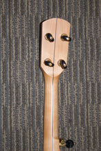 Load image into Gallery viewer, Pisgah &quot;Possum&quot; 11&quot; Openback Banjo - New

