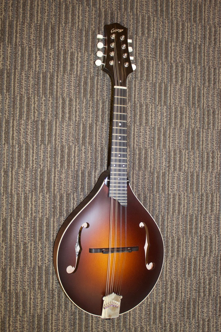 Collings MT Mandolin c. 2020