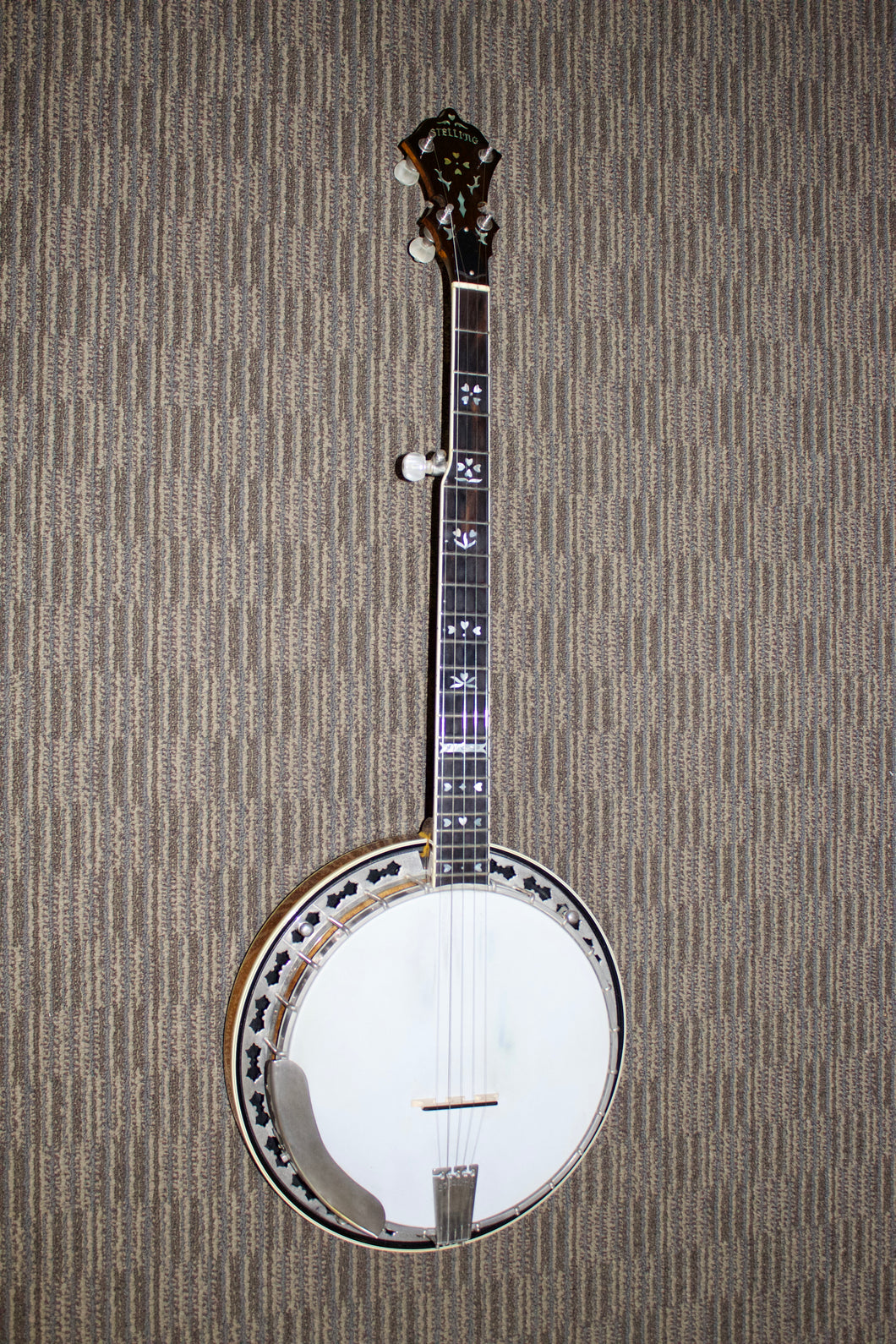 Stelling Sunflower Banjo - 1982