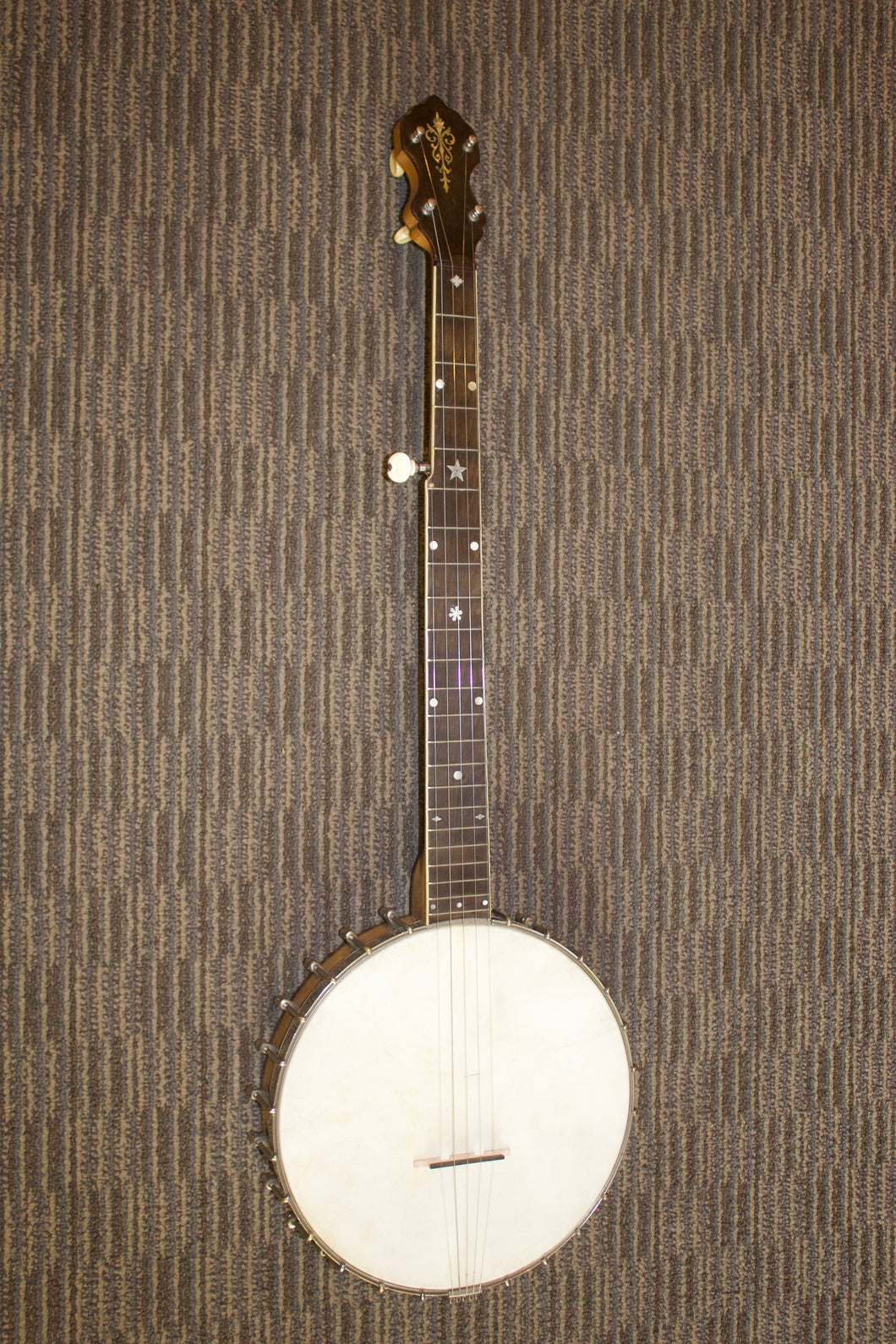 Bacon Professional  FF Openback Banjo c. 1910
