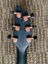 Load image into Gallery viewer, Breedlove Rainforest S Concert PA-CE Guitar
