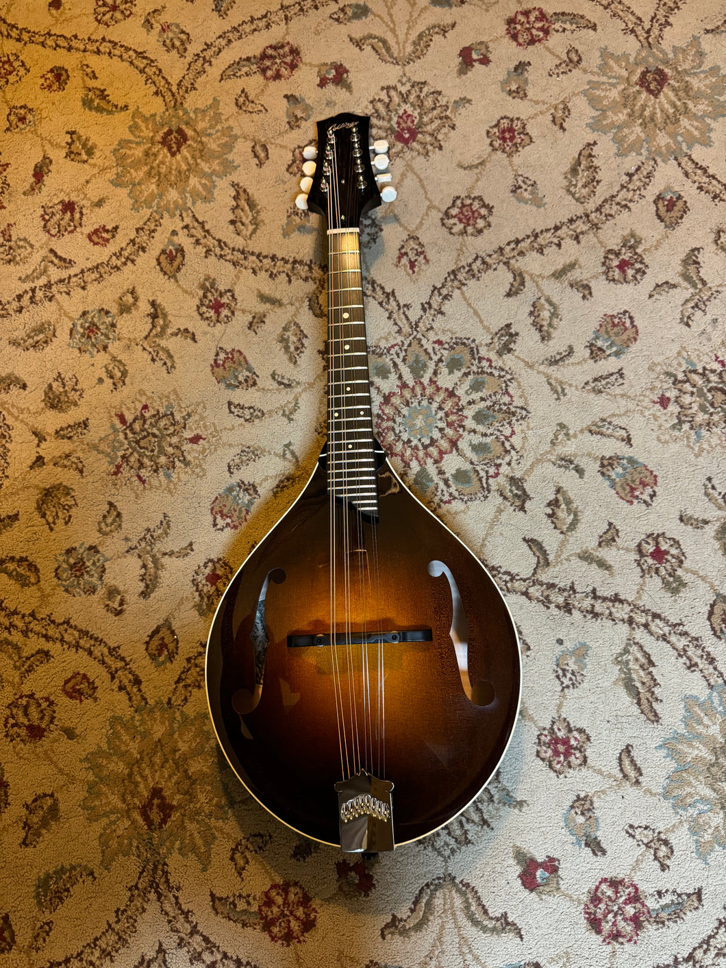 Collings MT Mandolin (Brand New)