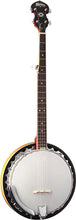 Load image into Gallery viewer, Washburn B-9WSH Resonator Banjo
