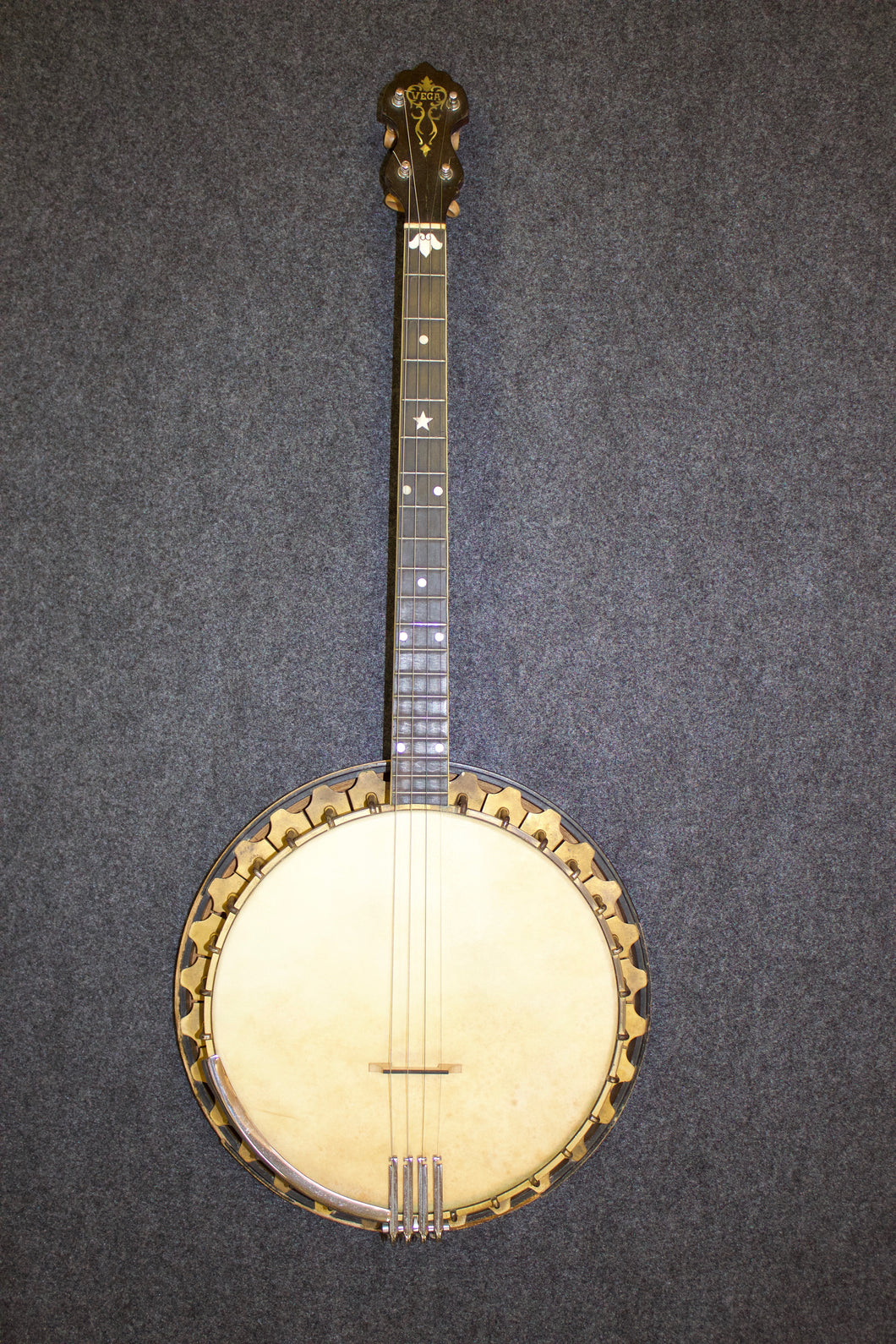 Vega Professional Tenor Banjo w/ custom Gold-plate hardware c. 1928