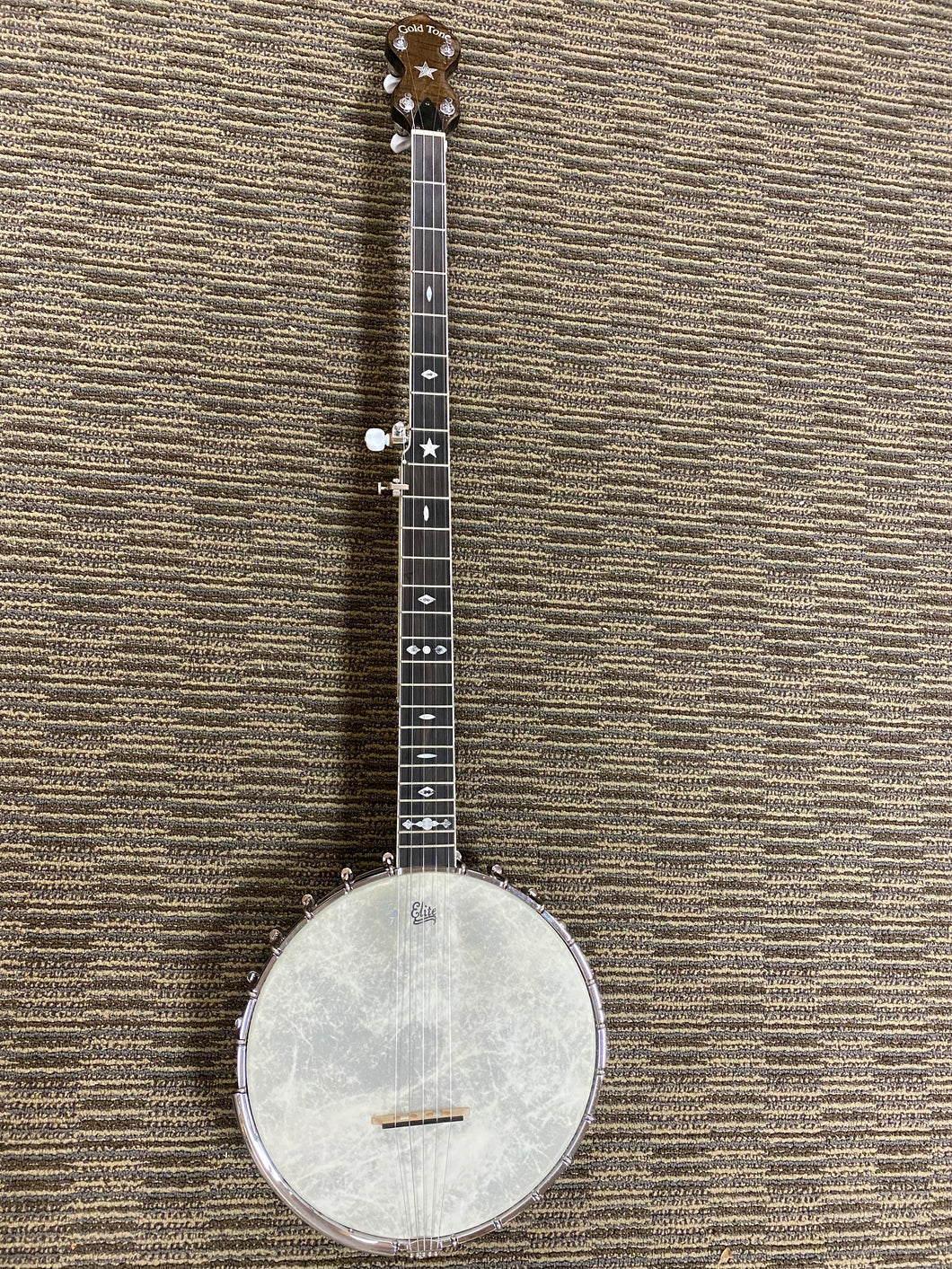 Goldtone OT-800LN Longneck banjo 