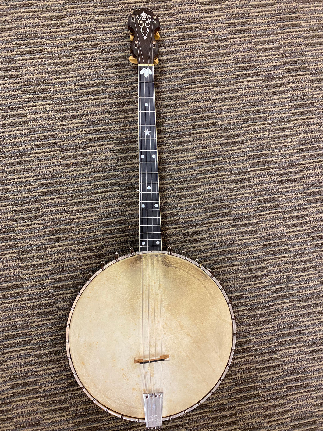 Vega Style M Banjo 1923  12