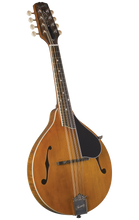 Load image into Gallery viewer, Kentucky KM-252 Artist F-model Mandolin - Transparent Amber - Jakes Main Street Music
