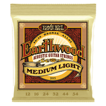 Load image into Gallery viewer, Ernie Ball Earthwood Acoustic Guitar Strings - Jakes Main Street Music
