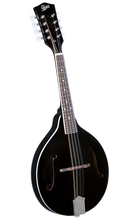 Load image into Gallery viewer, Rover RM-35B Mandolin &quot;Black&quot;
