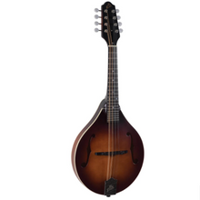 Load image into Gallery viewer, The Loar LM-110 BRB &quot;Honey Creek&quot; A-style Mandolin
