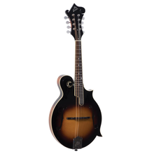 Load image into Gallery viewer, The Loar LM-520vs
